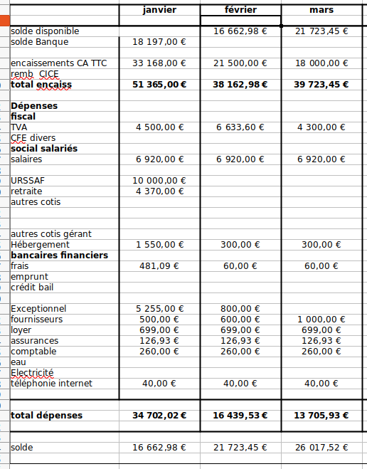 Exemple de plan de trésorerie